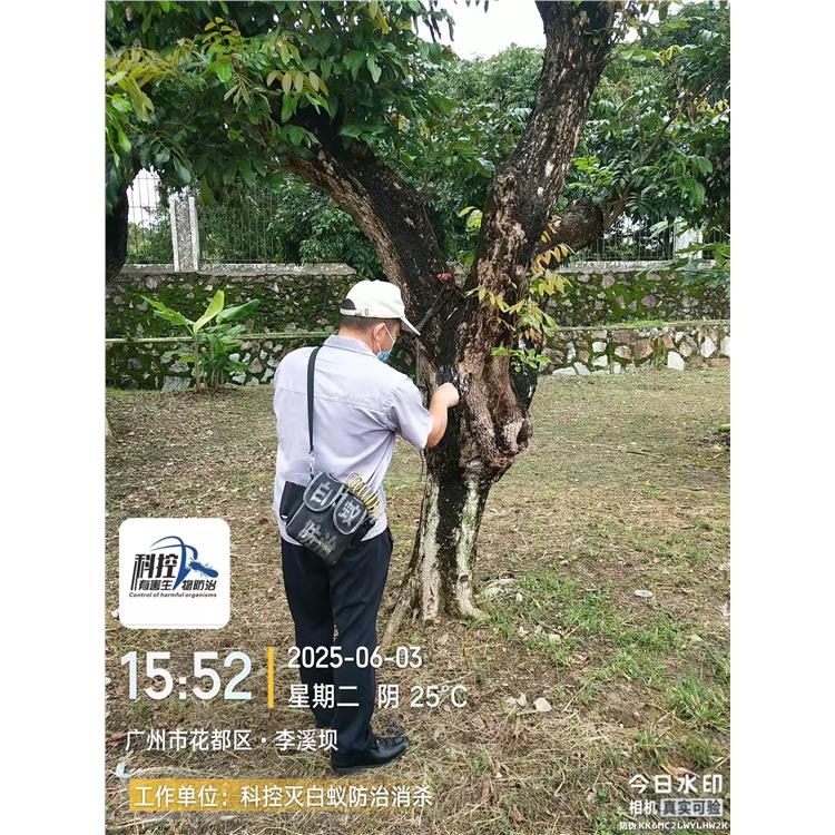 從化區工廠消殺 一站式服務 科控防蟲