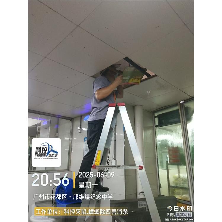 南山鎮工廠果蠅防治