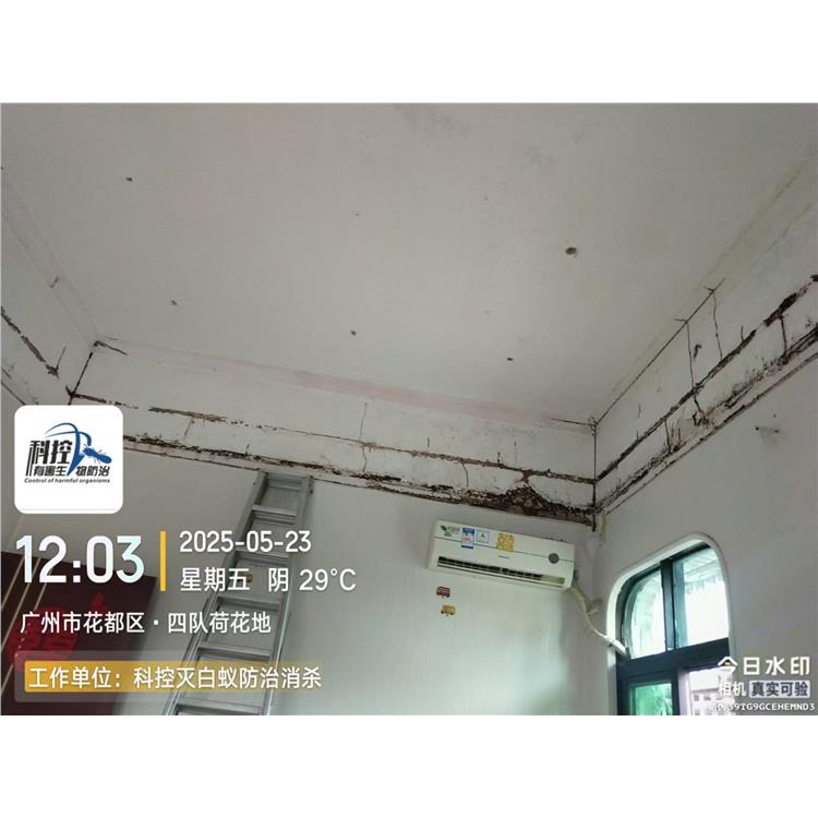 三水別墅滅蟑螂 科控防蟲