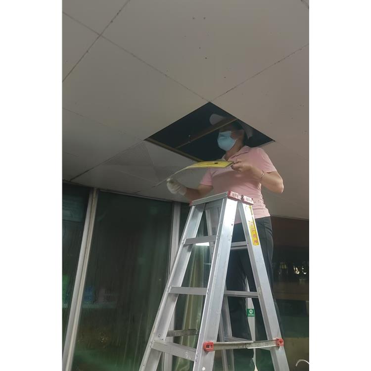 白坭鎮工廠消殺白蟻 售后完善 科控防蟲