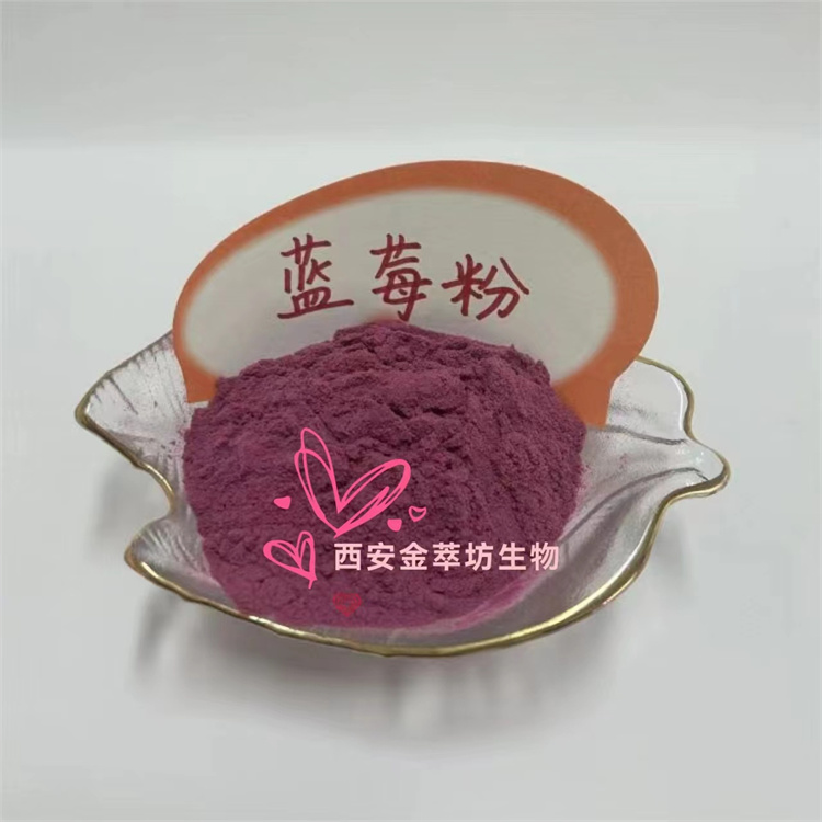 西瓜粉 新鮮水果汁粉提取