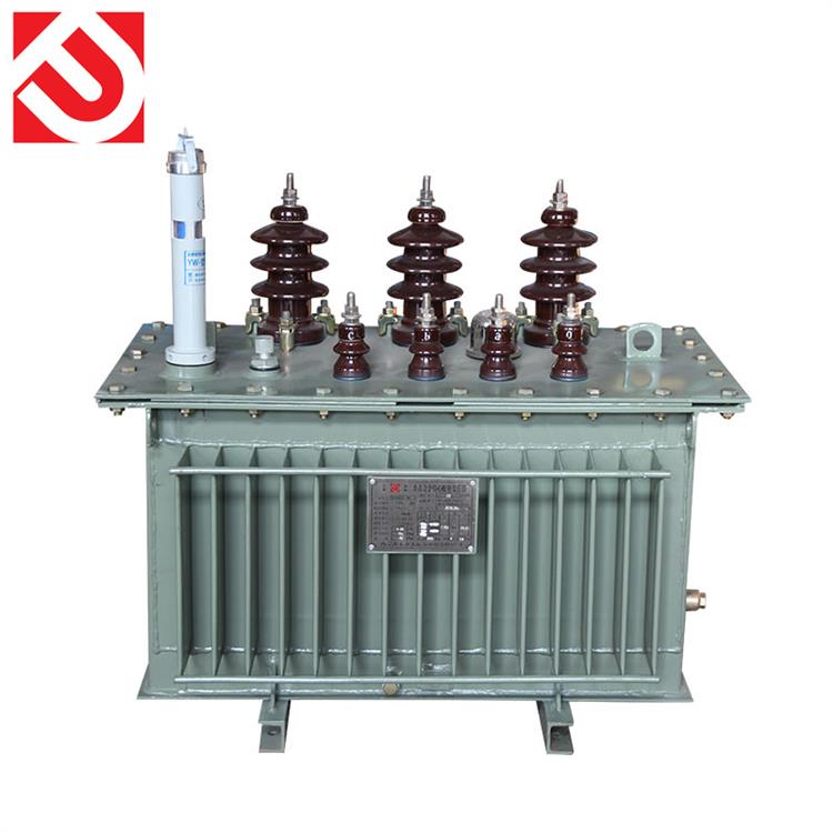 阿拉善三相油浸式電力變壓器
