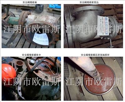 供应电厂*阀维修_进口*阀维修_江阴市欧雷斯