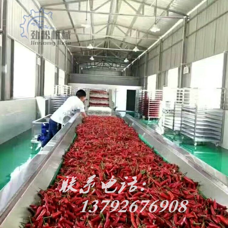 叶类蔬菜加工清洗生产流水线 果蔬大型清洗机 生姜莲藕气泡清洗线