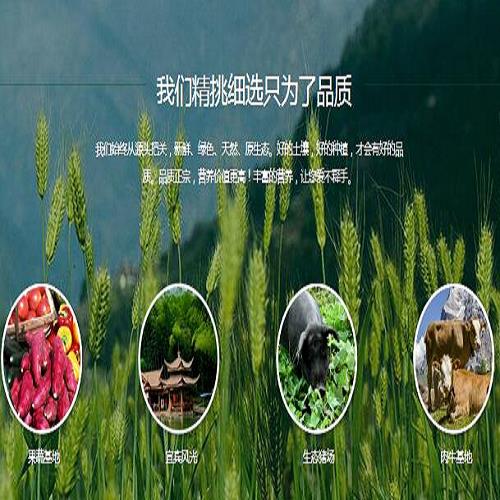 绿色生态农业公司哪家好