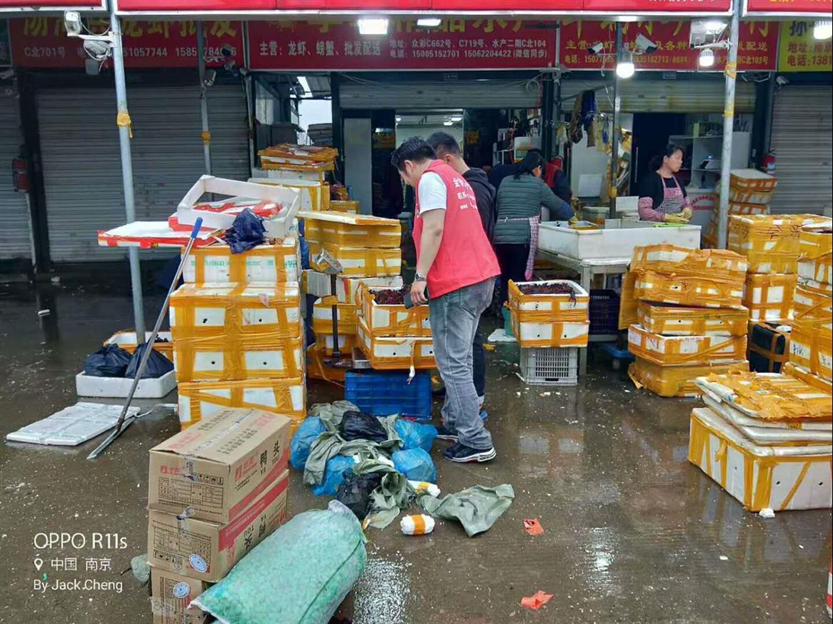 阿坝小龙虾基地批发 金智祥万亩清水小龙虾