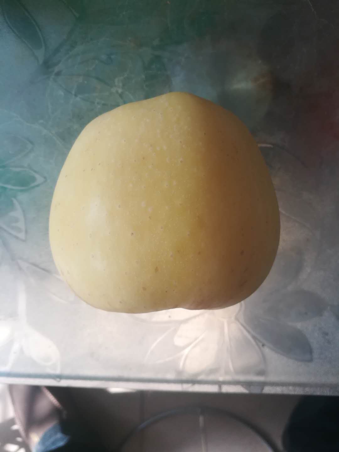 鸡西苹果树苗批发