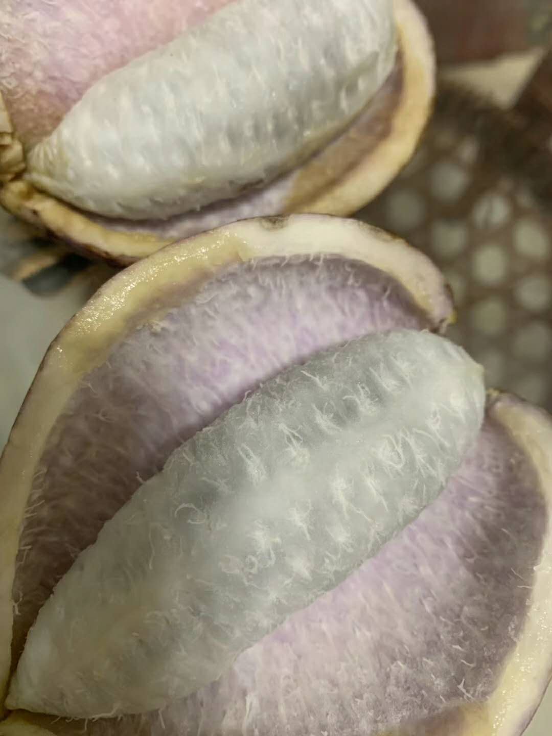 黄石八月瓜苗批发