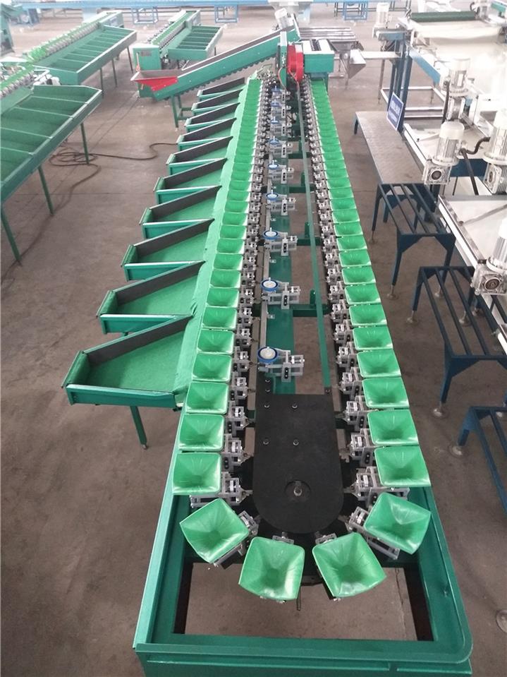 成都耙耙柑重量分选机供货商