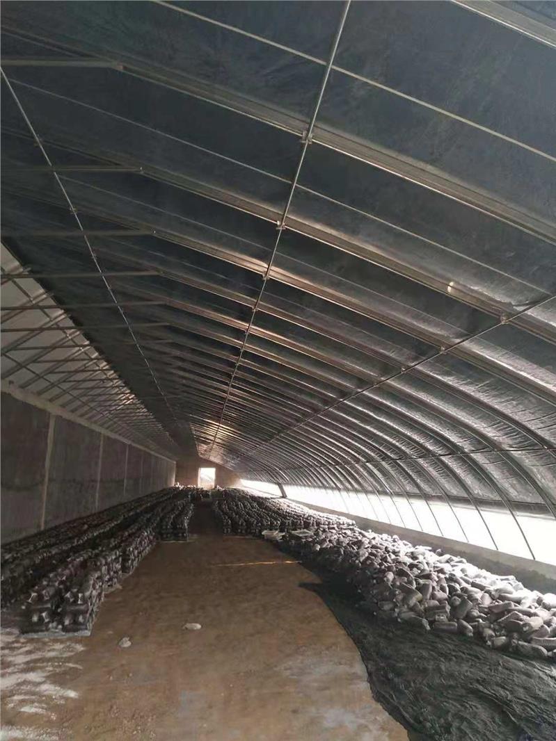 呼和浩特大棚几型钢骨架厂家