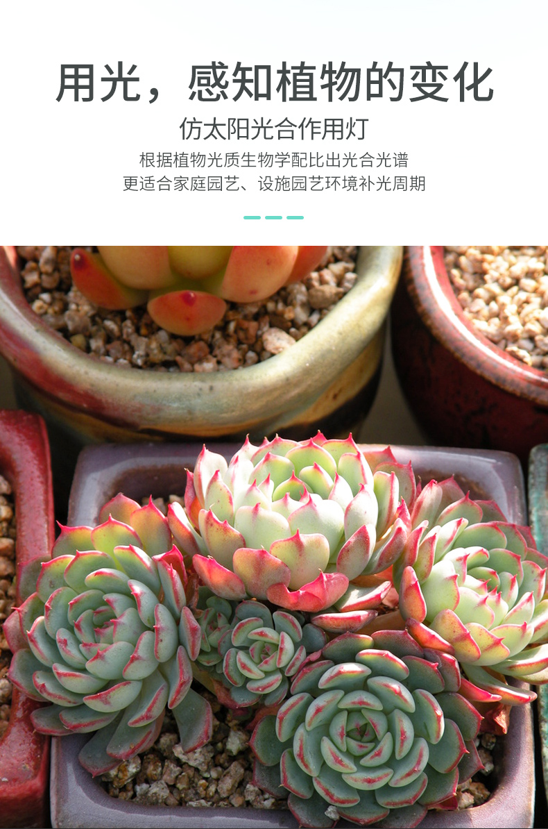 东莞花卉植物生长灯批发