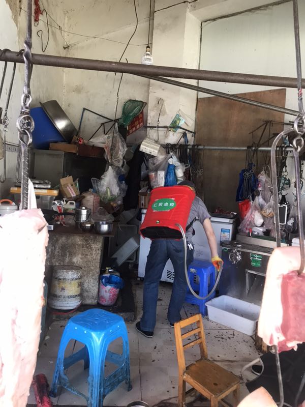 崇州餐馆除跳蚤方法 消杀跳蚤