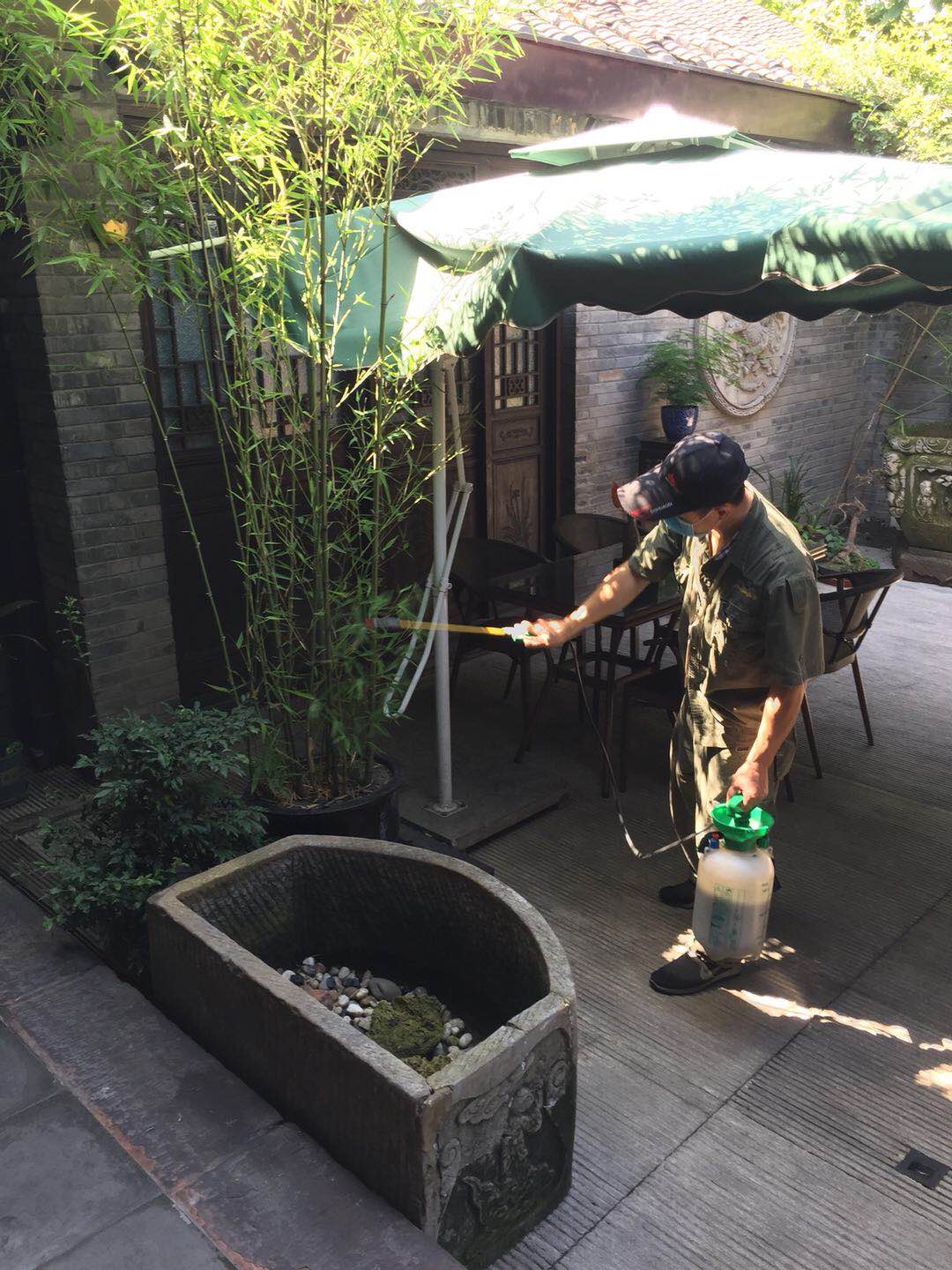 简阳餐厅除跳蚤工程 消杀跳蚤 上门服务