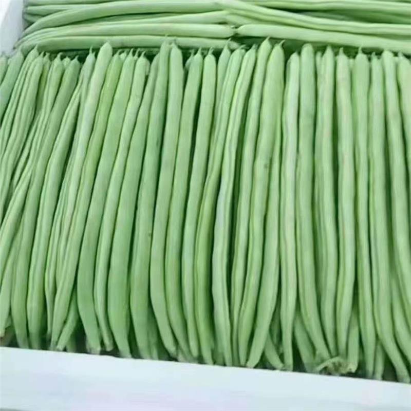 龙华民治酒店食材配送商家