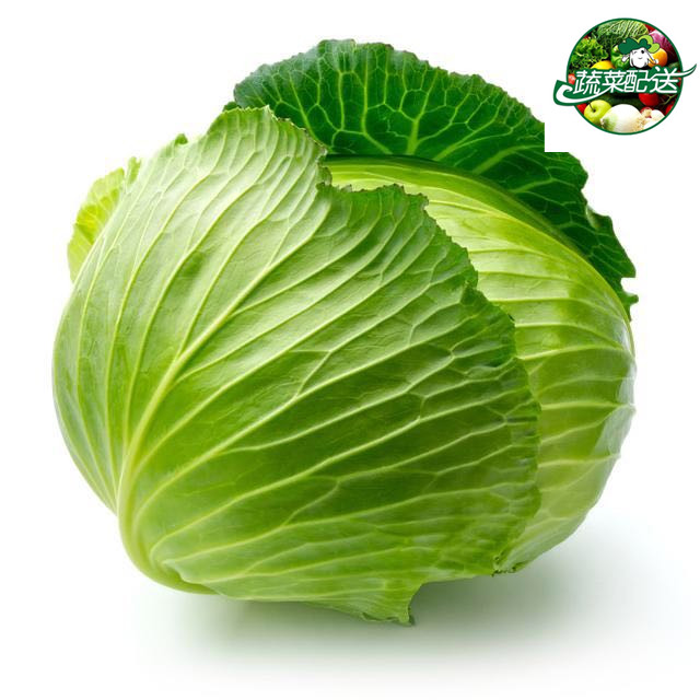 南湾一站式食材配送公司