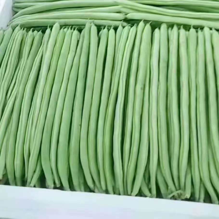 罗湖区超市蔬菜配送 一站式服务
