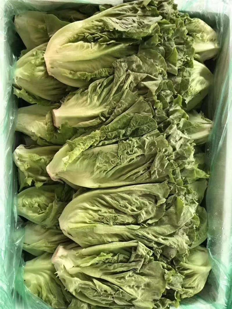 常平饭堂承包电话