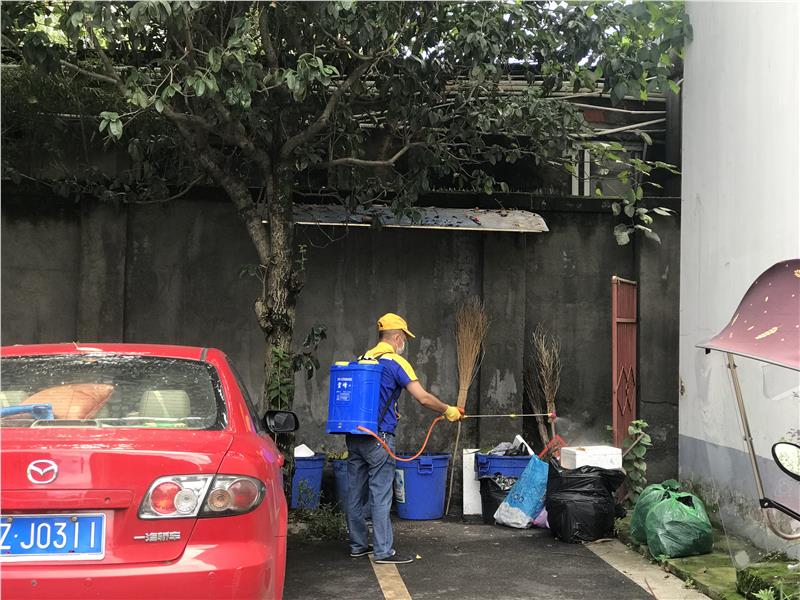 成都办公区灭跳蚤