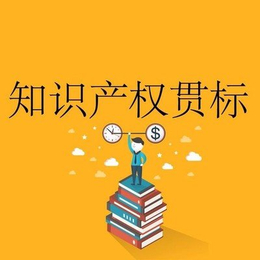 湖州知识产权贯标步骤和时间-知识产权贯标服务内容