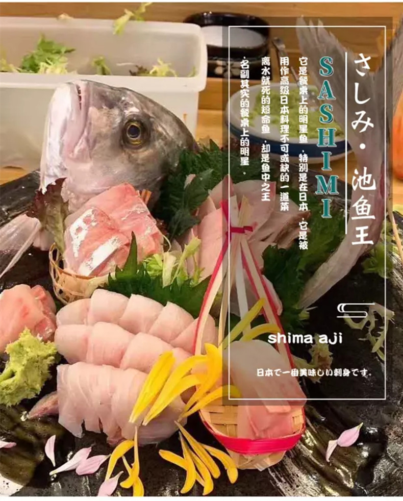 梅州冰鲜池鱼王供应商