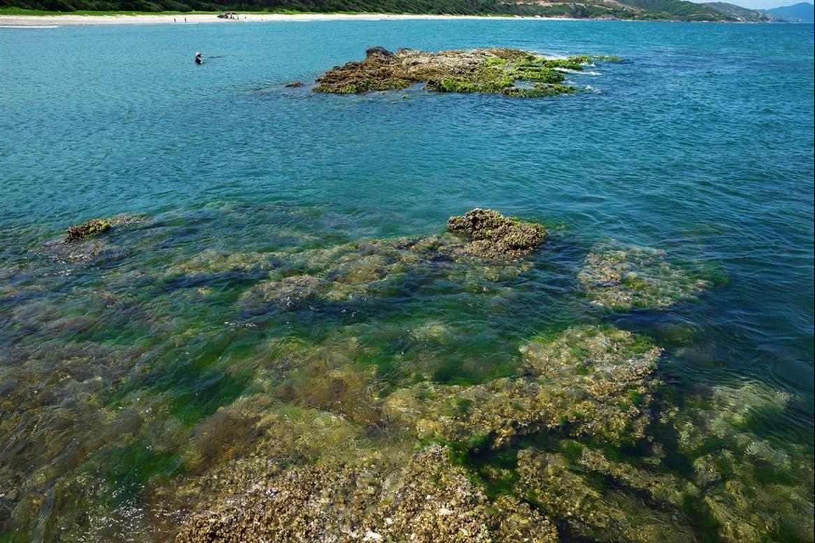 深圳至惠州旅游报价