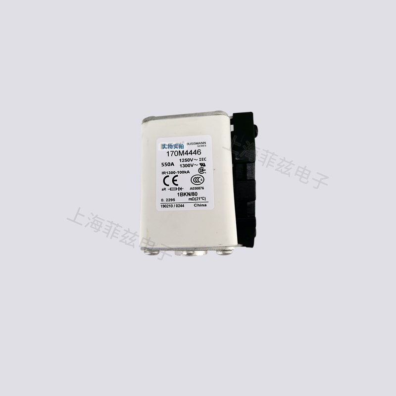 巴斯曼熔断器170M3015