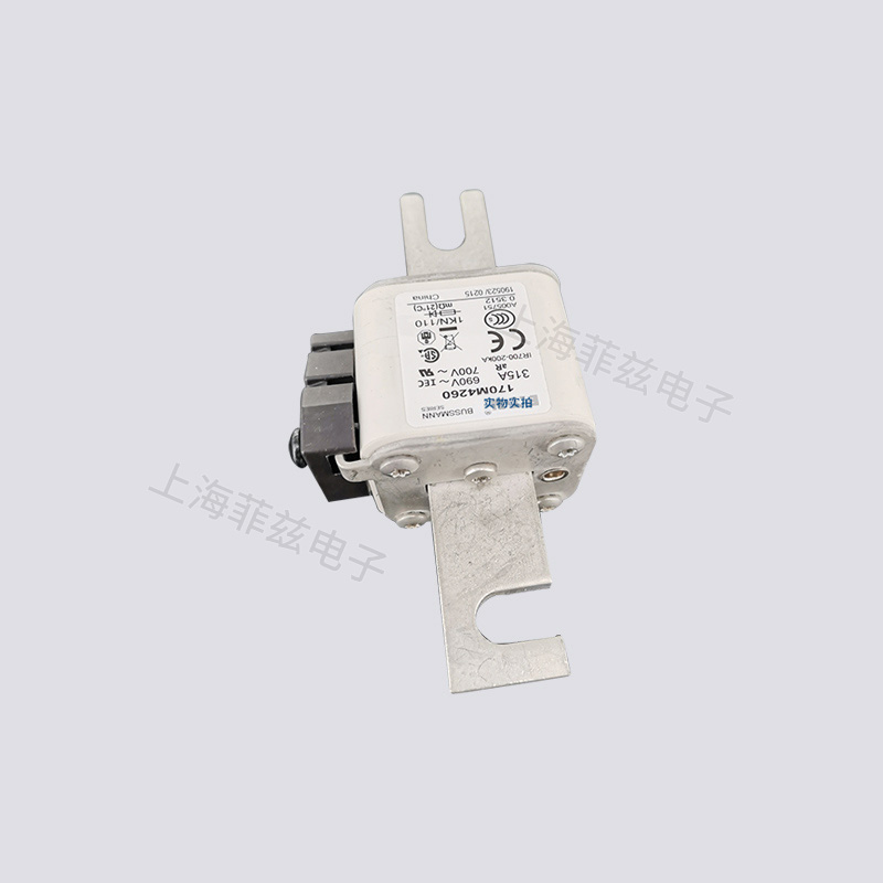 巴斯曼熔断器170M3493