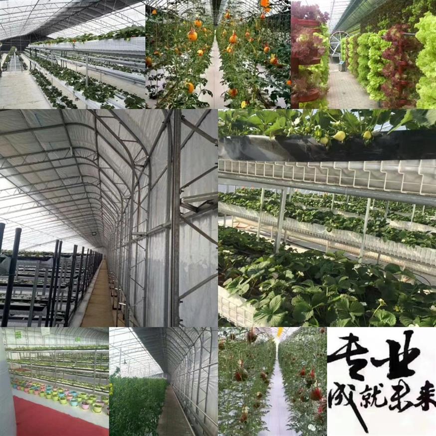 邯郸80C型钢复合梁150克锌层原料
