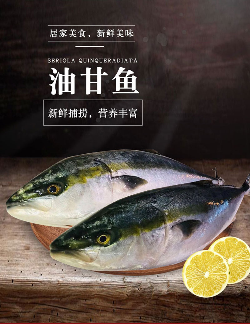 鲜活章红鱼产地电话