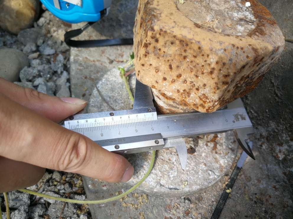 江苏楼板承载力检测电话