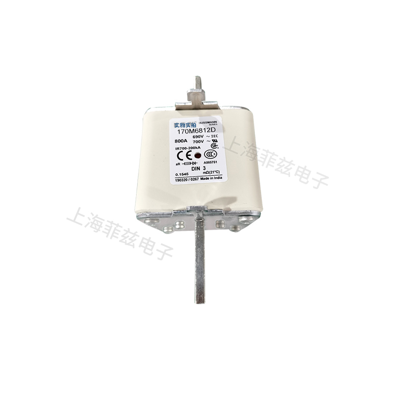 巴斯曼熔断器170M3196