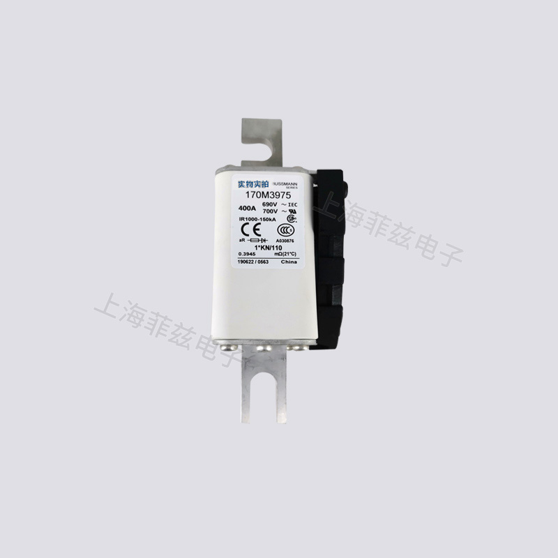 巴斯曼熔断器170M4015