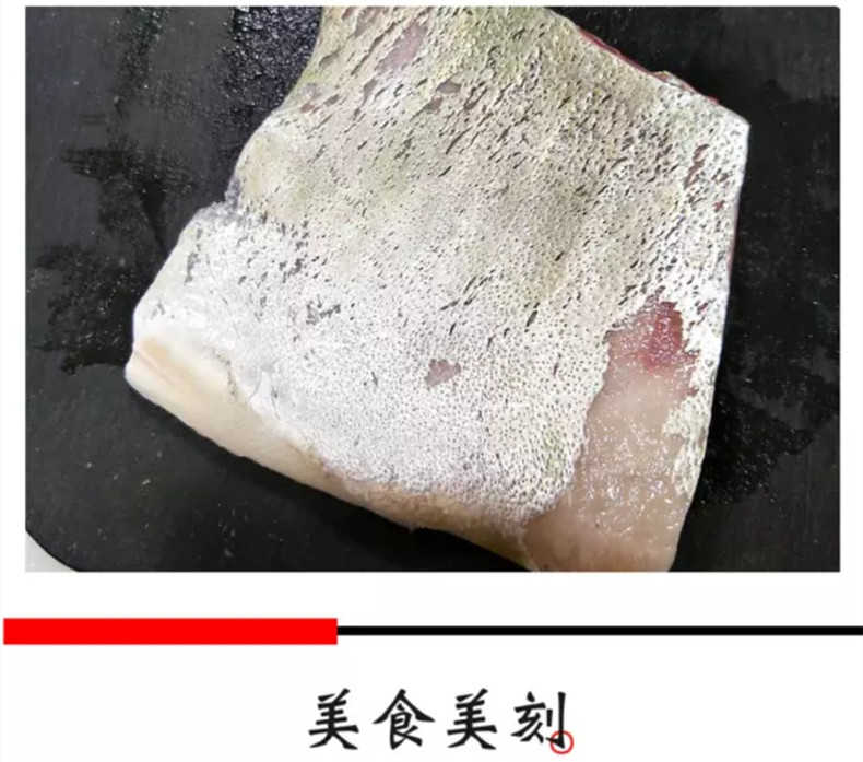 梅州冰鲜池鱼王供应商