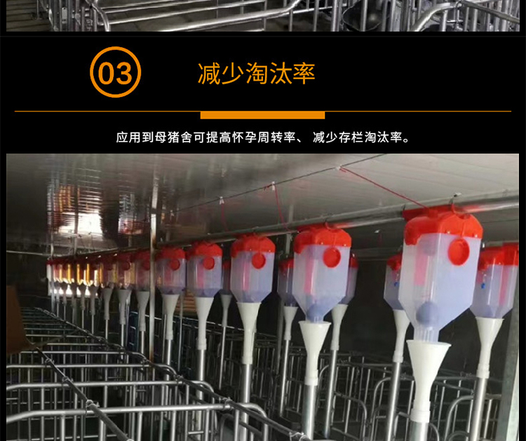 铜川市猪场赛盘料线的安装及保养安装