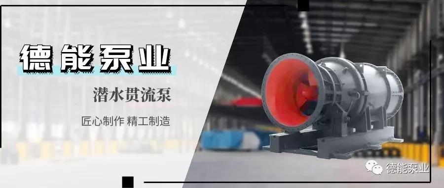 鹤壁潜水贯流电泵