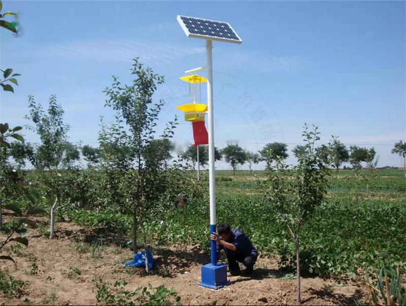太阳能式杀虫灯 频振式太阳能杀虫灯