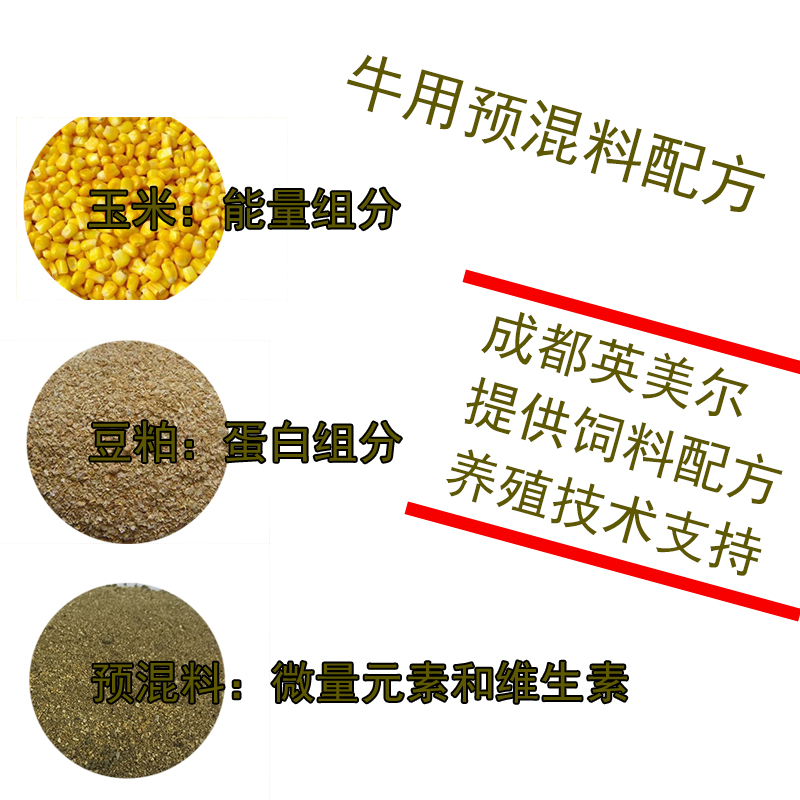 繁殖母牛预混料配方