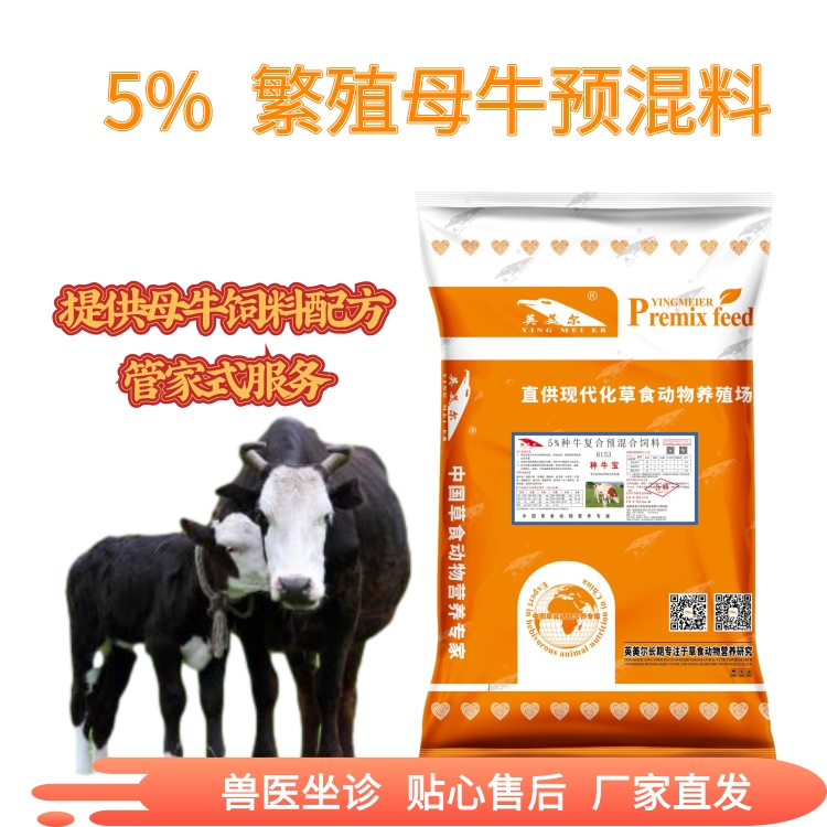 繁殖母牛预混料配方