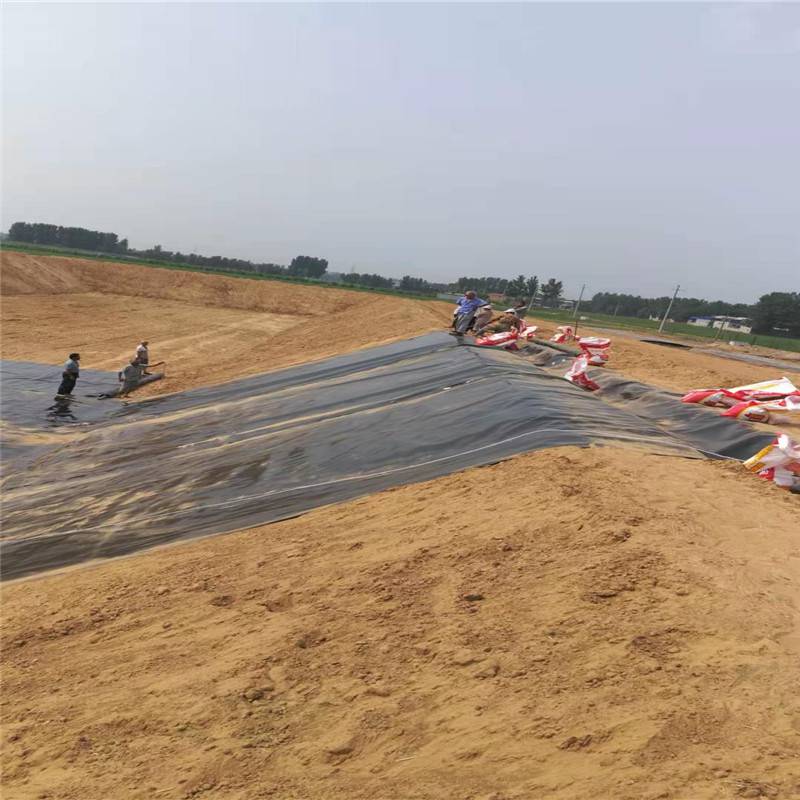 新疆本地养殖场新挖储液池土工膜厂家