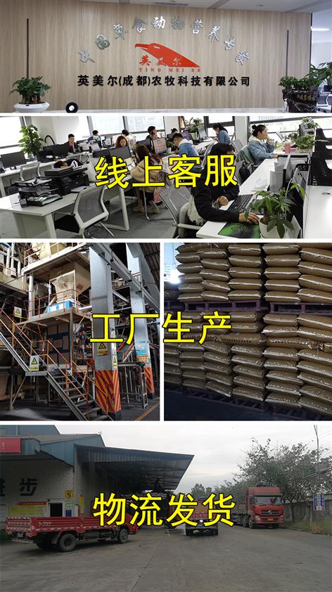 繁殖母羊用的预混料