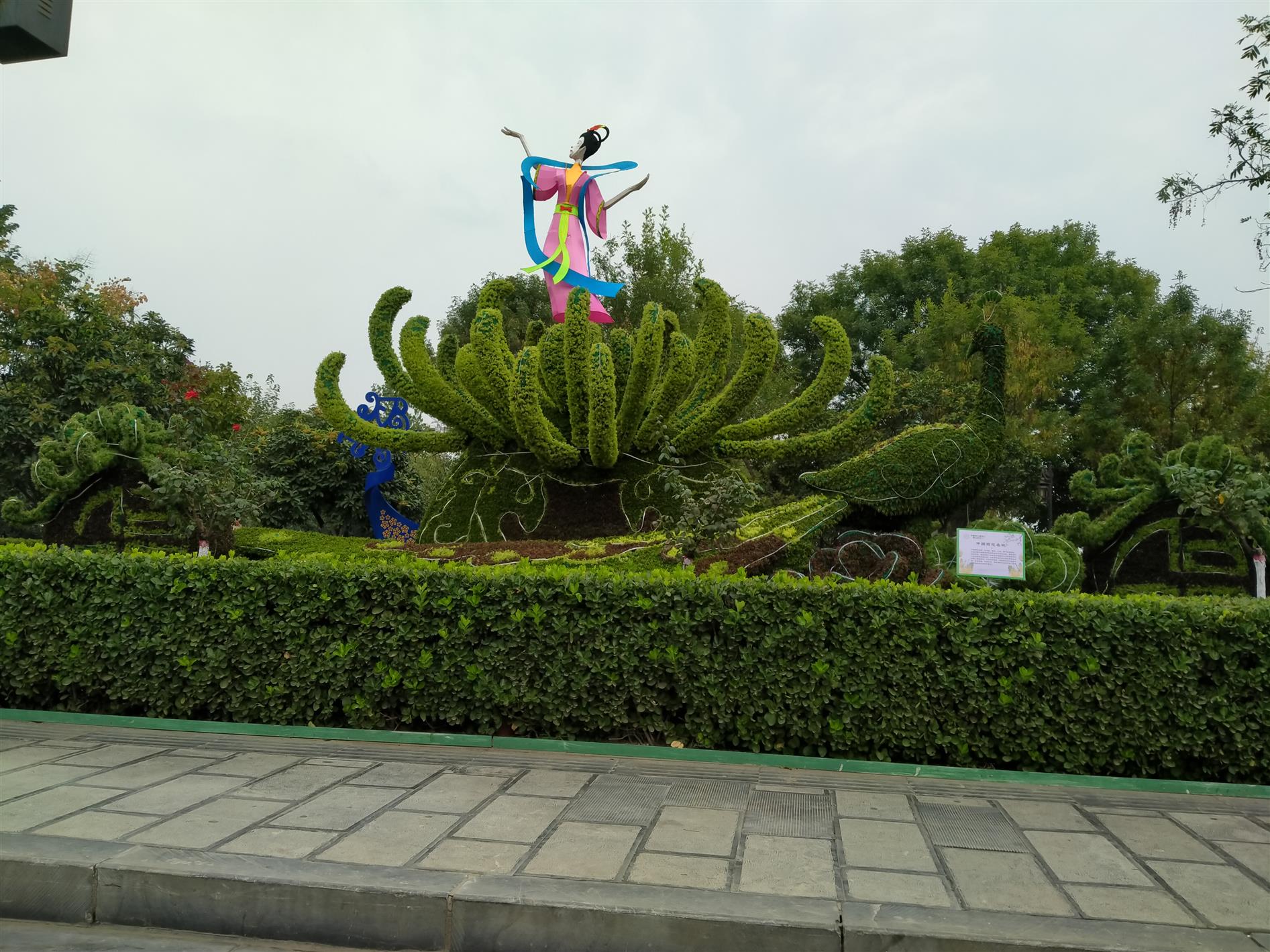 商洛五色草制作费用