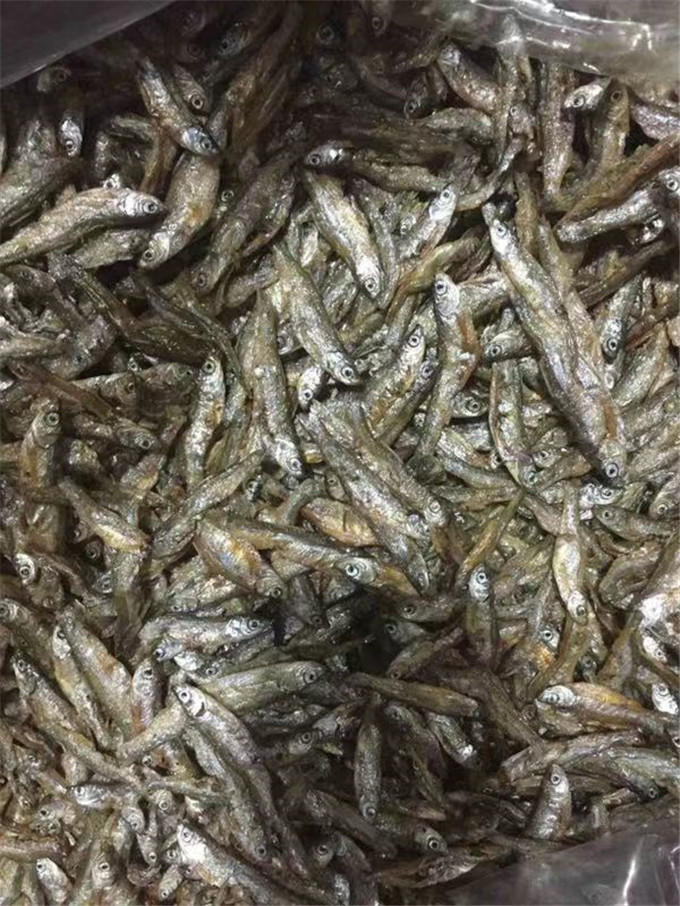 鱼干批发厂家-义乌国荣腌腊制品厂家-湖州鱼干
