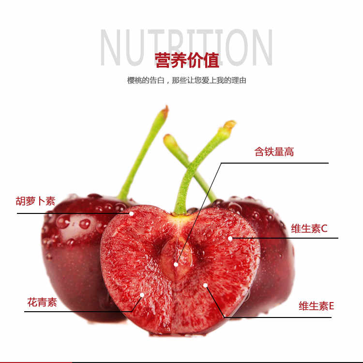 长治红灯樱桃树苗出售