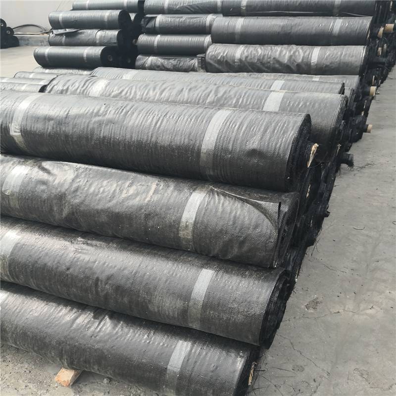 沧州园艺地布抗老化PP抑草布 果树幼苗期铺设防草抑草布RunYe/润业土工供应