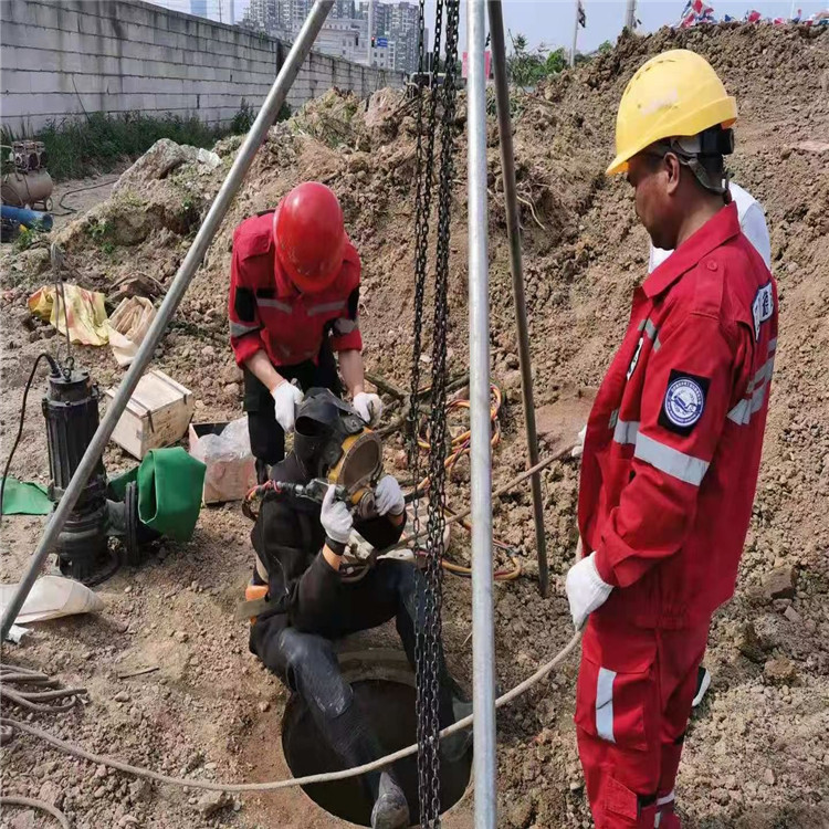 舟山市水下维修公司专线