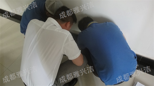 成都食品厂灭鼠灭蟑螂 欢迎来电 四川雅兴洁生物供应