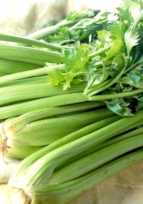 新城区食材送菜网
