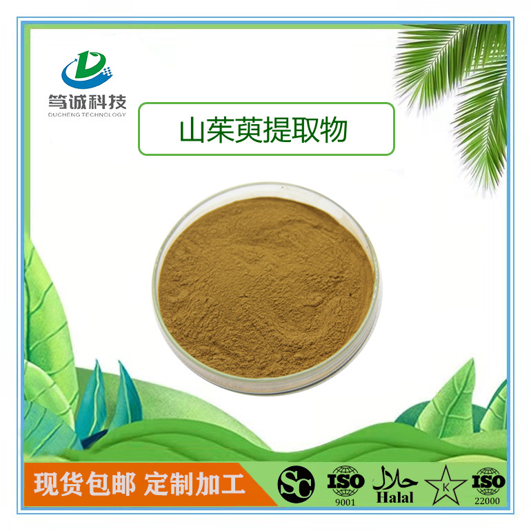 山茱萸浓缩粉作用 包邮