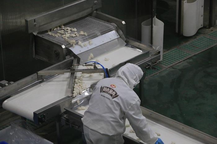 洛阳食品级食品输送线供应商