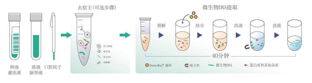 湖州体液病原DNA提取试剂盒磁珠法
